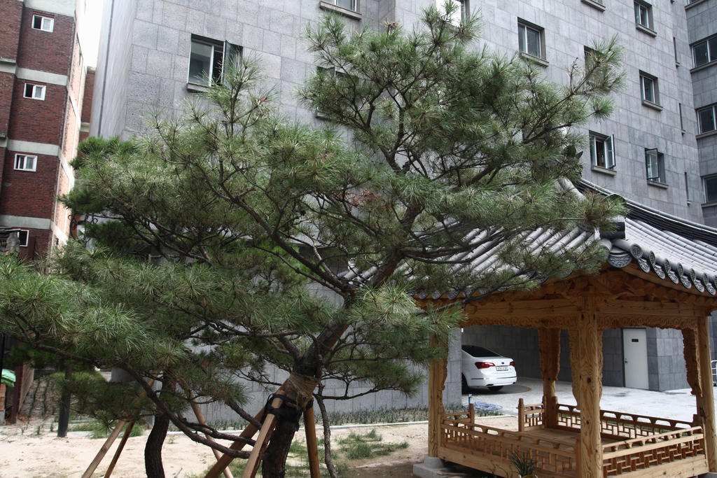 سيول Fortune Hostel Jongno المظهر الخارجي الصورة